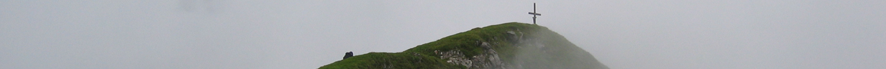 Gipfelbereich des Gamsfelds (2027m).